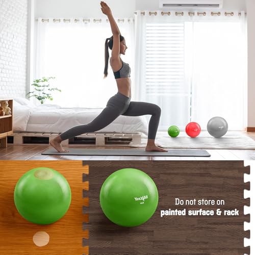 Weighted Toning Balls for Exercise - 2lbs Pair - Blue