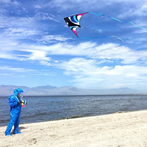 Large Triangle Beach Kite - Easy to Fly for Kids & Adults - Blue/Black