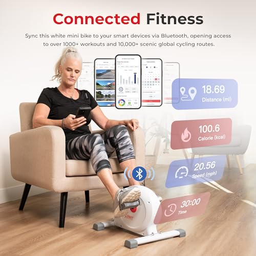 Under Desk Mini Cycle Exerciser for Arm and Leg Workouts