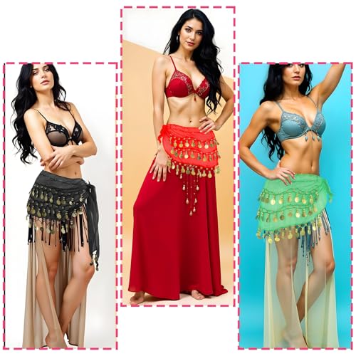AHQiZFX 12 Pcs Belly Dance Sequin Tassel Skirt Set with Coin Embellishments
