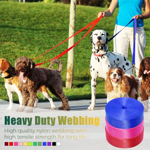 YOGHAVRS 1 Inch Nylon Webbing Straps - 12 Rolls, 3.3 Yards per Color, DIY, Outdoor & Indoor Use