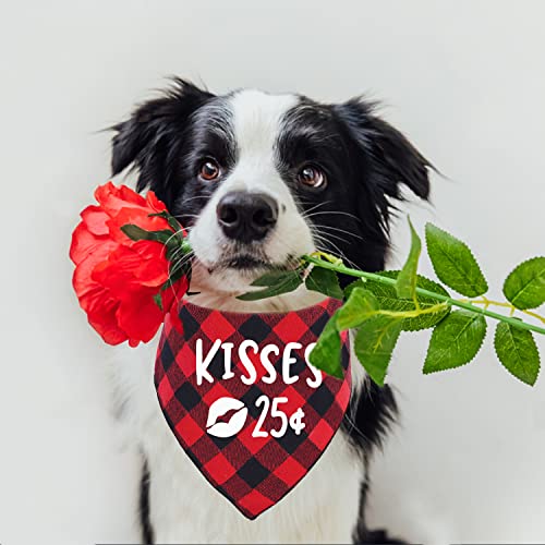 Valentine Dog Bandana - Red Buffalo Plaid Pet Scarf - Kisses 25 - Small