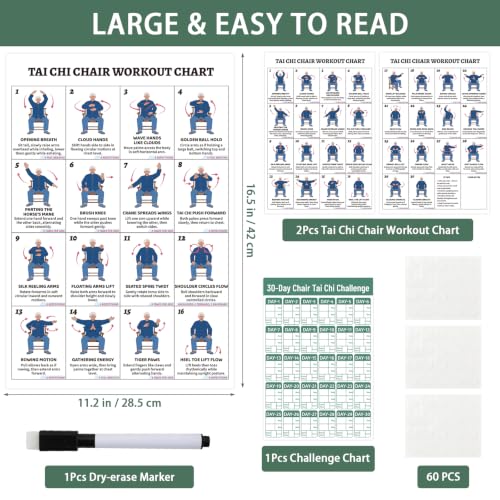 Tai Chi Chair Workout Chart for Beginners - 2 Laminated Posters