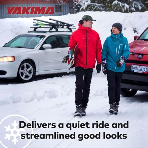 FatCat EVO 6 Ski & Snowboard Roof Rack - Holds 6 Pairs, Lockable