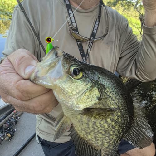 Crappie Lures Kit - Soft Plastic Fishing Lures, 24 Packs - Green-Yellow-Red