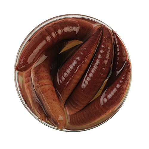 Floating Pinched Crawler Fishing Soft Bait - Nightcrawler 2in