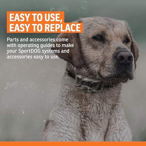 Dog Training Whistle - Pealess High-Pitch Design - Orange