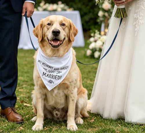 Wedding Dog Bandana - 28" White 'Got Married' Scarf for Pets