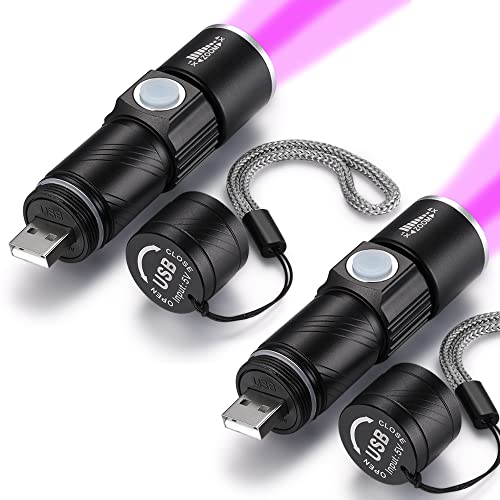 DARKBEAM 395nm USB UV Flashlight 2-Pack - Portable Blacklight for Pet Urine Detection & Identification