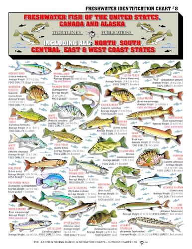 Freshwater Fish Identification Chart - Waterproof Reference Guide