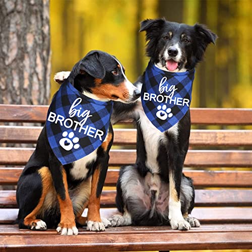 Big Brother Dog Bandana - Blue Plaid Pregnancy Announcement