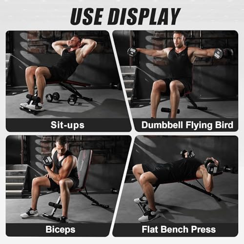 Adjustable Weight Bench - Foldable Strength Bench, 880LB Capacity - Classic Black