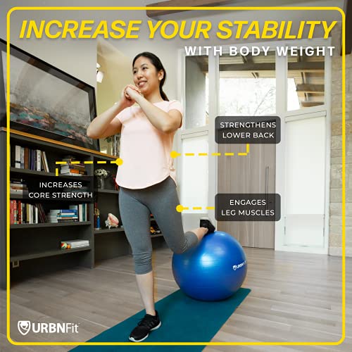 Exercise Ball - 65cm Anti-Burst Yoga Ball for Workout & Pregnancy - Black