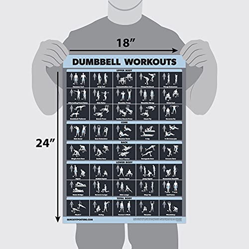 Dumbbell & Barbell Exercise Poster Set - Laminated 2 Pack (18" x 24")