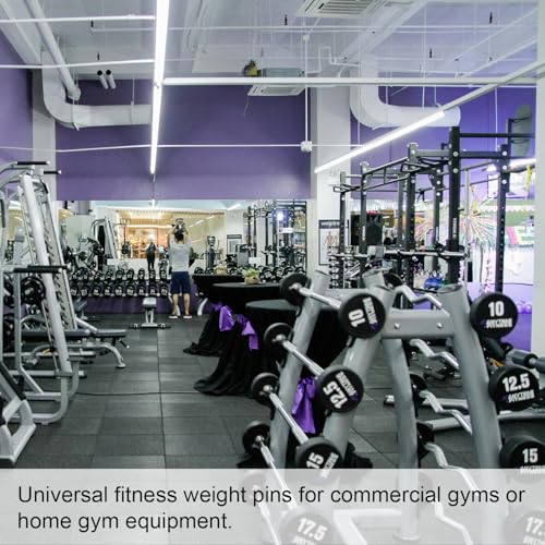 Ring Shaped Weight Stack Pin - 3/8in Diameter for Home Gym