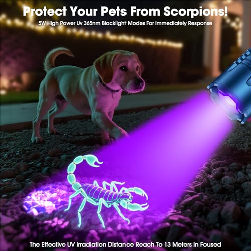 Hoxida UV Flashlight Blacklight & White Light, 395nm for Pet Urine Detection, Blue - 2-in-1 Rechargeable Torch