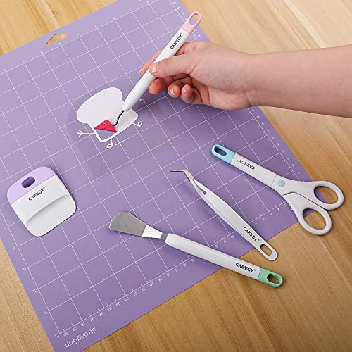 CAREGY Craft Vinyl Weeding Tools Set,