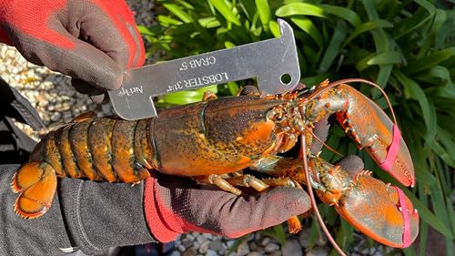 Aluminum Lobster & Crab Gauge - 5" & 3-1/4" Slots - 1pc