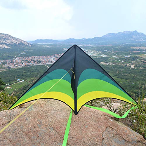 Delta Kite for Kids 63"x30" - Easy to Fly Beach Kite with 300ft String
