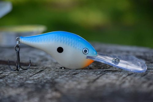 Dives-to 16 Helsinki Shad
