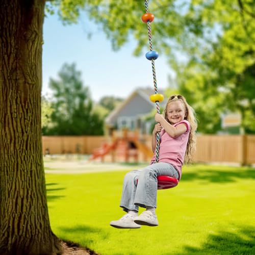 Tree Swing for Kids - Single Disc Seat & Rainbow Climbing Rope Set - Red & Multicolored