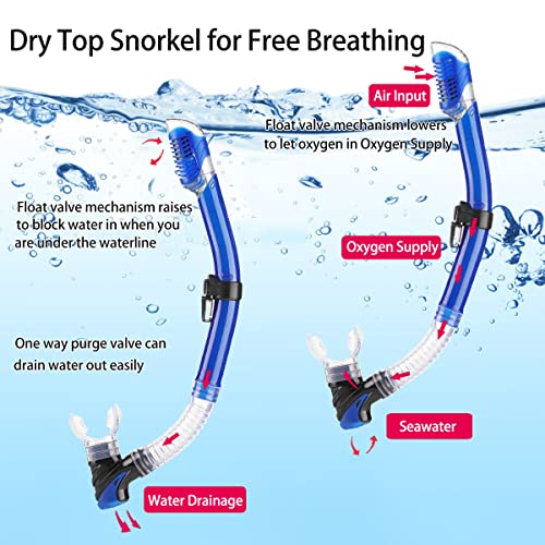 DiVLMT Adult Snorkeling Gear Set with Mask Fins Dry Snorkel, US Men 9-13 / Lady 10-14, Blue