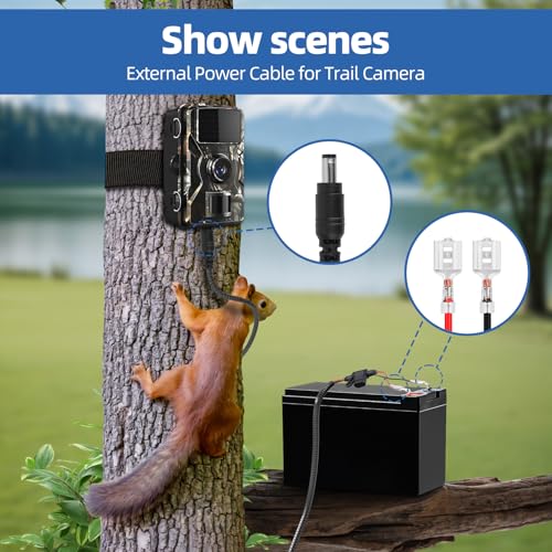 4.0x1.7mm DC Plug Trail Camera Power Cable - Chew-Resistant, 79 Inches, End-Spade Connector