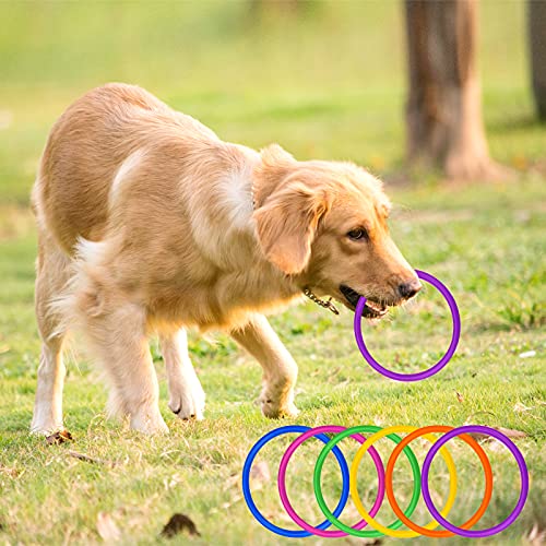 24 Pack Plastic Ring Toss Game for Kids & Adults, Carnival & Backyard Fun