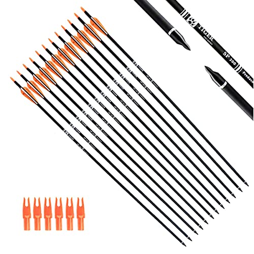 30" Carbon Arrows - 12 Pack for Compound & Recurve Bows