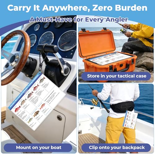 Florida Saltwater Fishing Guide Cards - Waterproof Quick Reference Set