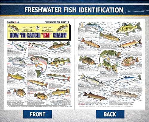 Waterproof Freshwater Fish Identification Chart - Quick Reference Guide for Anglers