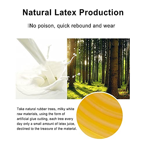 Natural Latex Rubber Tubing - 2.5mm OD Black, 3M Length