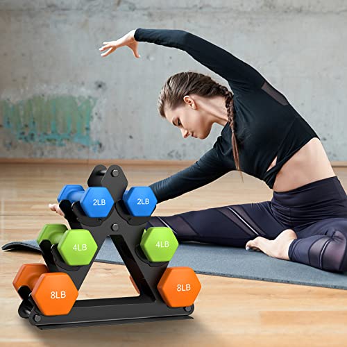 Dumbbell Rack Stand - Metal 3-Tier Weight Storage for Home Gym