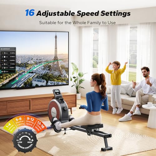 Magnetic Rowing Machine with Dual Slide Rail - 350 lbs Capacity