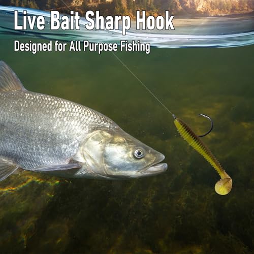 30 Pack #2/0 Circle Fishing Hooks - Strong Wide Gap for Freshwater & Saltwater