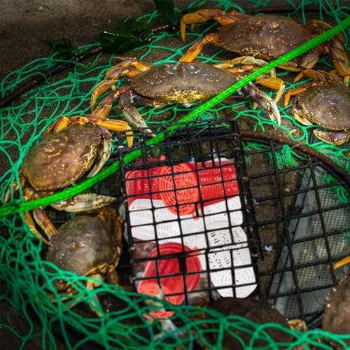 Fishing Bait Cage Trap Set of 20 - Plastic Crawfish Minnow Shrimp Crab Bait Holders