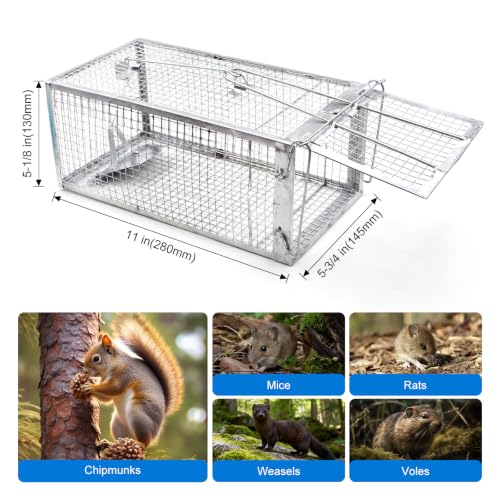 Humane Live Chipmunk Trap Cage – 2-Pack, Reusable, Instant Trigger