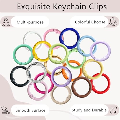 Hordolry Colorful 60Pcs Metal Carabiner Key Rings Bulk for DIY Keychains & Bag Charms