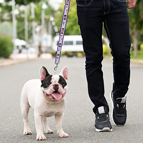 NFL Team Satin Dog and Cat Leash - Durable & Lightweight