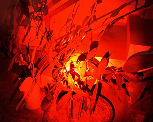 Red Light Pen Flashlight for Night Observation & Emergency Use