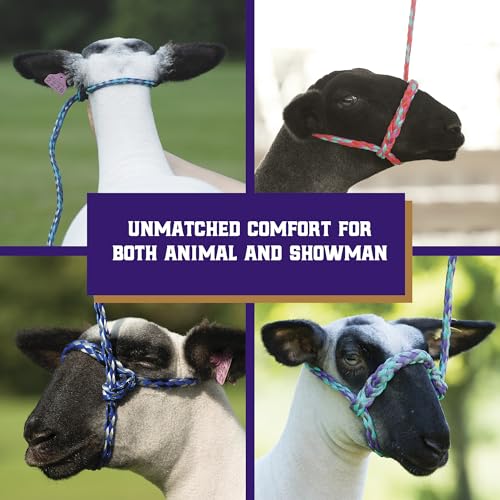 Adjustable Braided Poly Rope Sheep & Goat Halter with Lead - Hot Pink/Coral/Mint
