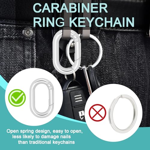 1-Inch Silver Oval Carabiner Clips - 10 Pack for Keychains & Pets