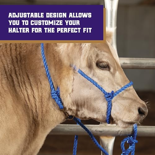 Braided Poly Rope Cattle Halter - Adjustable Blue, One Size