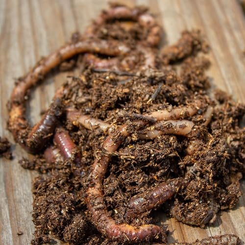 Worm Food for Fishing & Composting - 24 oz Nutrient-Rich Bait Feed