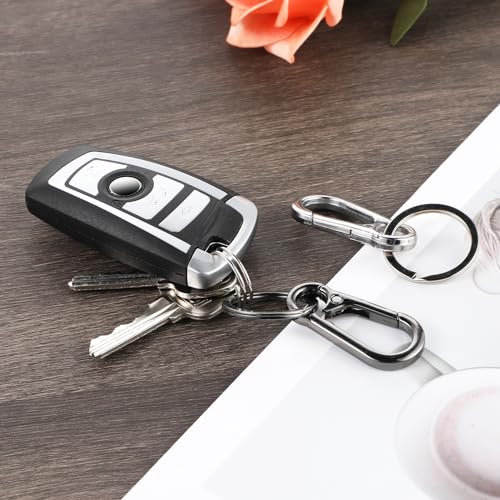 2 Pcs Heavy Duty Metal Carabiner Keychain Clip - Black & Silver