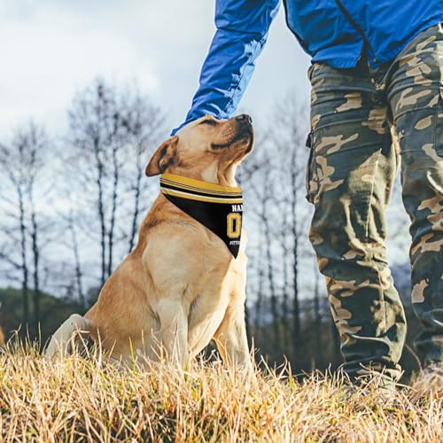 Personalized Pittsburgh Dog Bandana - Custom Name & Number - One Size