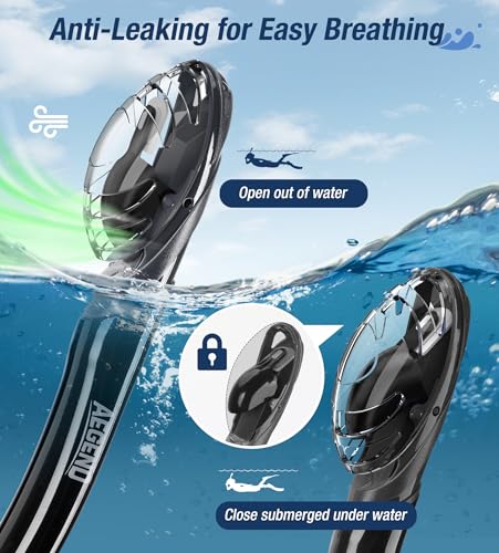 Dry Snorkel for Adults & Youth - Black | Purge Valve Design