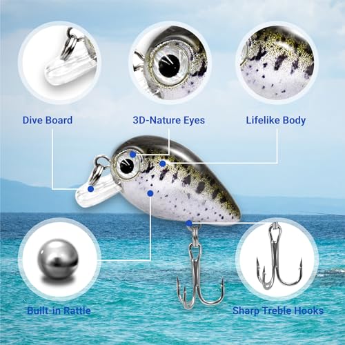 Assorted 5PCS Micro Crankbait Fishing Lures Set with 3D Eyes