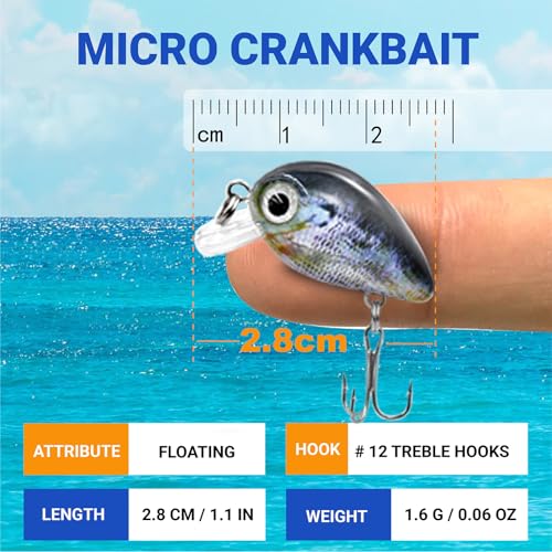 Assorted 5PCS Micro Crankbait Fishing Lures Set with 3D Eyes