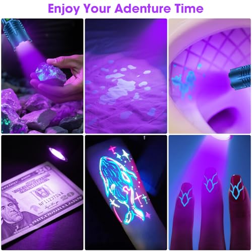 Hoxida UV Flashlight Blacklight & White Light, 395nm for Pet Urine Detection, Blue - 2-in-1 Rechargeable Torch